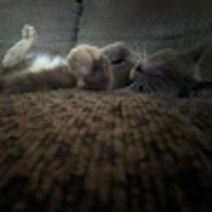 Meet your Posher, Joslyn